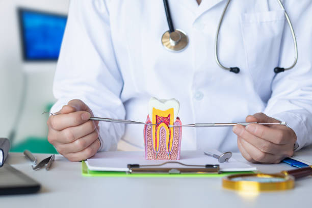Best Emergency Dental Care for Abscessed Tooth in Jal, NM